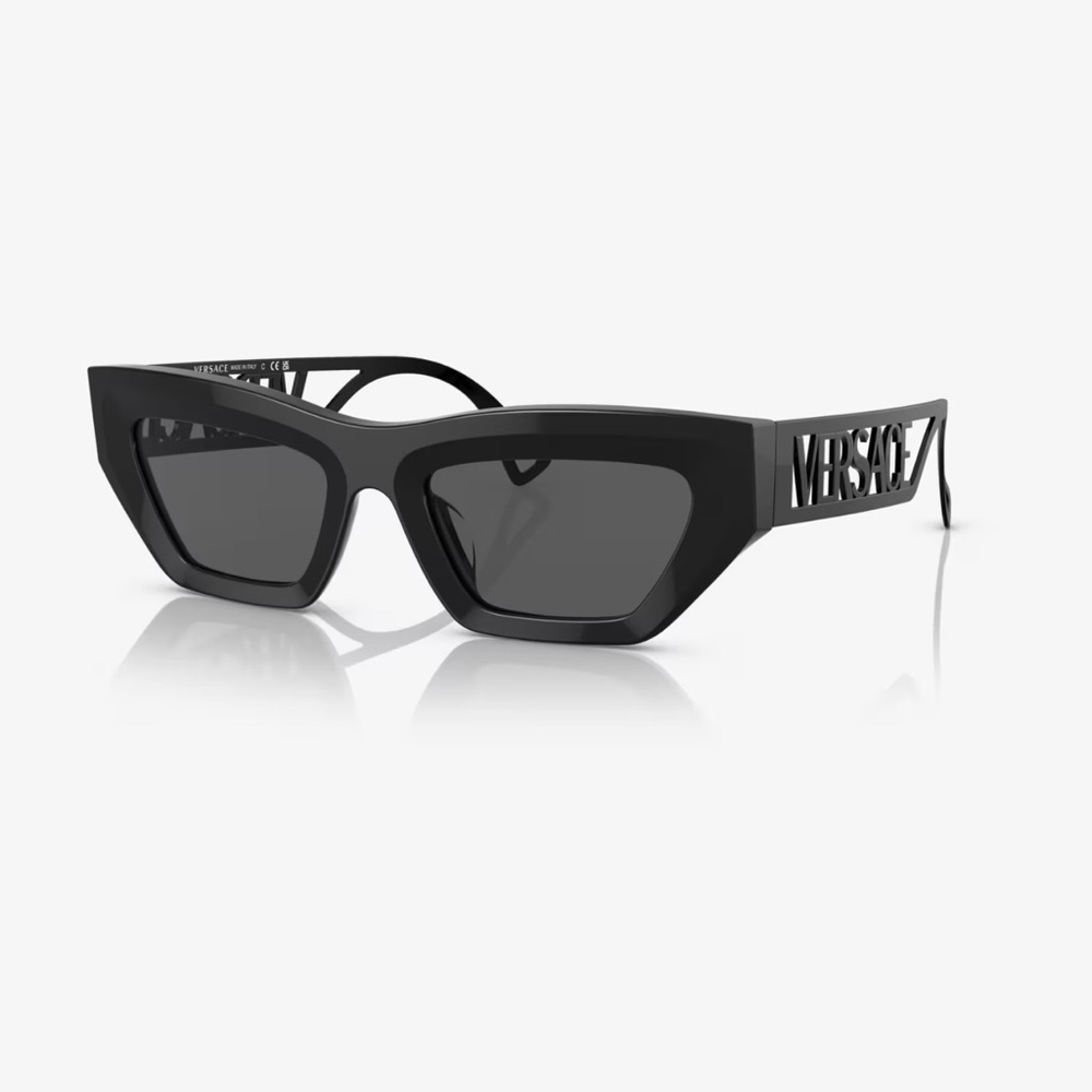 Versace Womens Sunglasses VE4432U